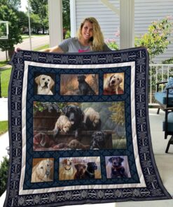 Buy Labrador Retriever Friends Quilt Blanket & Quilt Bedding Set Great Customized Blanket Gifts For Birthday Christmas Thanksgiving