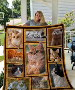 Buy Lovely Cat Pictures Quilt Blanket & Quilt Bedding Set Great Customized Gifts For Birthday Christmas Thanksgiving Perfect Gifts For Cat Lover