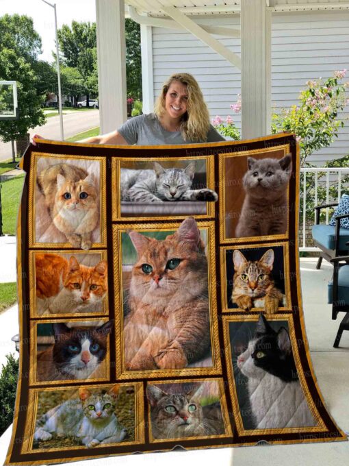 Buy Lovely Cat Pictures Quilt Blanket & Quilt Bedding Set Great Customized Gifts For Birthday Christmas Thanksgiving Perfect Gifts For Cat Lover