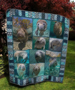 Buy Manatee Cute Pictures Quilt Blanket & Quilt Bedding Set Great Customized Gifts For Birthday Christmas Thanksgiving Perfect Gifts For Manatees Lover