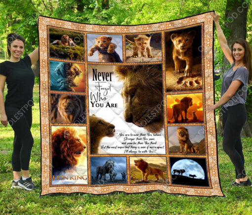 Buy The Lion King Vr3  Quilt Blanket & Quilt Bedding Set