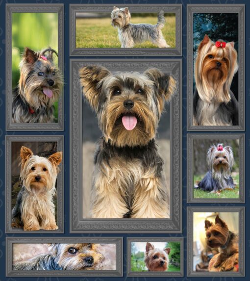 Buy Yorkshire Terrier Photography Art Quilt Blanket & Quilt Bedding Set Great Customized Blanket Gifts For Birthday Christmas Thanksgiving