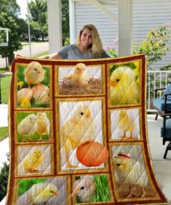 Buy Chick Picture Collection Quilt Blanket & Quilt Bedding Set Great Customized Blanket Gifts For Birthday Christmas Thanksgiving