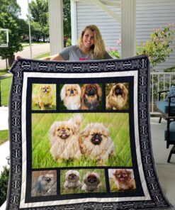 Buy Cute Pekingese Quilt Blanket & Quilt Bedding Set Great Customized Gifts For Birthday Christmas Thanksgiving Perfect Gifts For Dog Lover