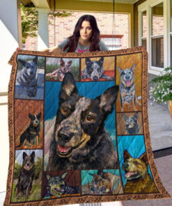 Buy Dog Australian Cattle Picture Collection Quilt Blanket & Quilt Bedding Set Great Customized Blanket Gifts For Birthday Christmas Thanksgiving